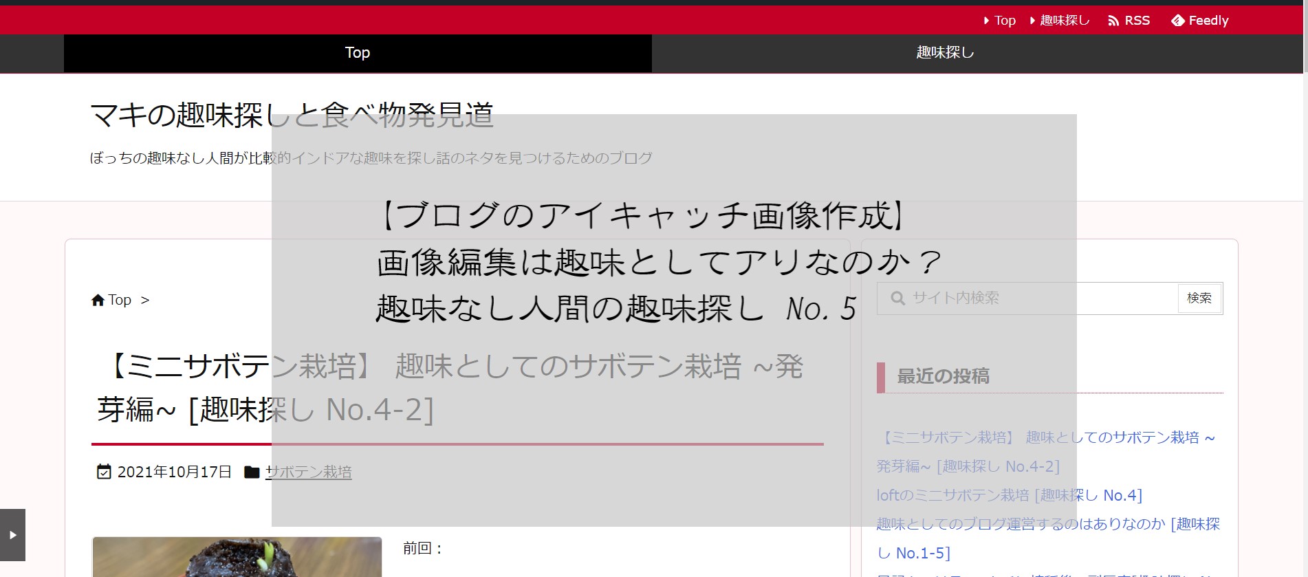 【ブログのアイキャッチ画像作成】画像編集は趣味としてアリなのか？　　　趣味なし人間の趣味探し No.5