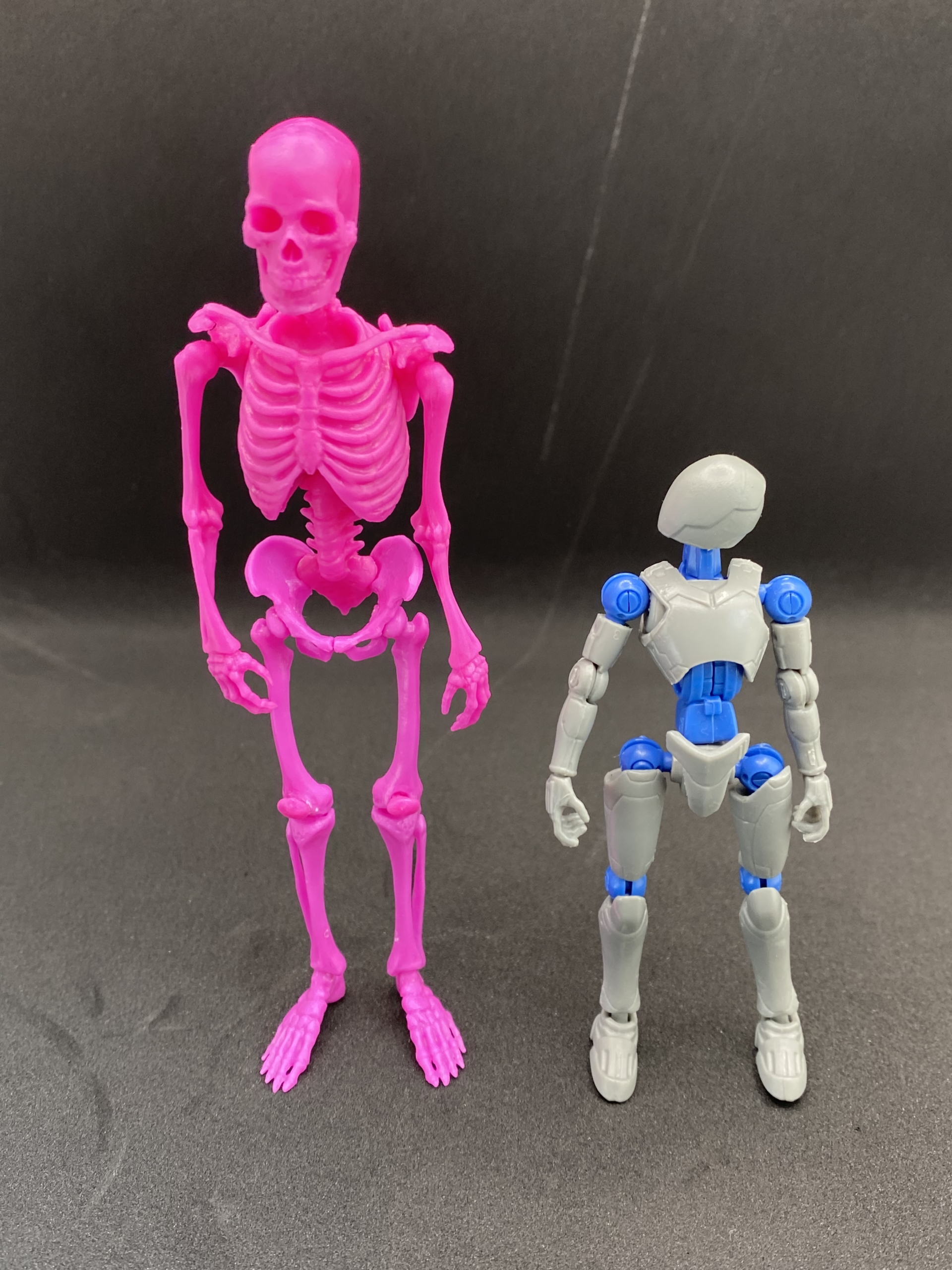 【ガチャガチャ】博物モデリング倶楽部・壱 1/12 ヒト骨格_カプセルトイ収集 