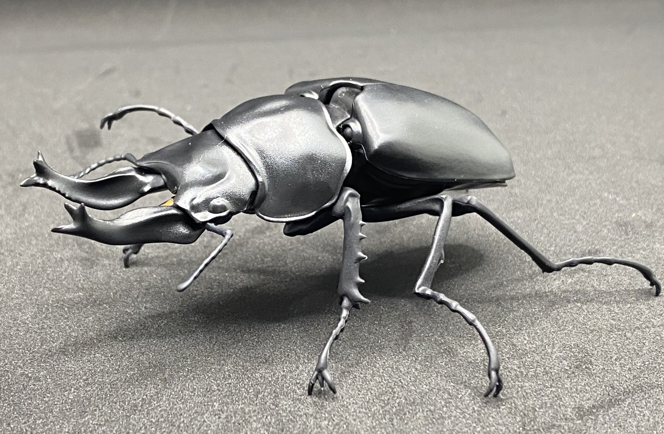 【ガチャガチャ】いきもの大図鑑 くわがた03 _カプセルトイ収集 