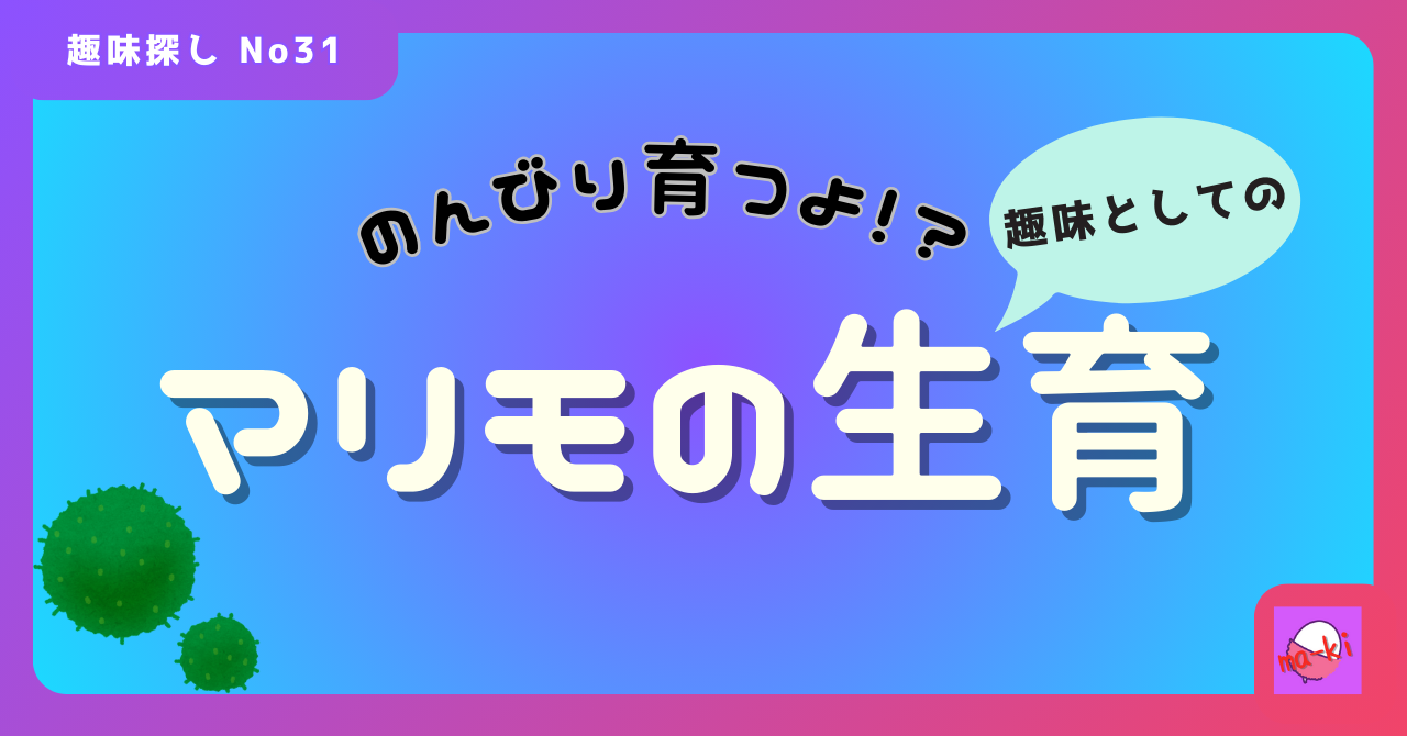 マリモの生育 ｜ すぐに始められる趣味探し-No31